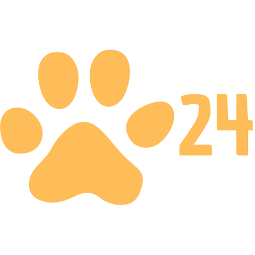 petcare24.store